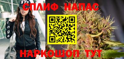 мдпв Можайск