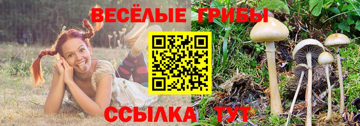 Псилоцибиновые грибы Magic Shrooms Великие Луки
