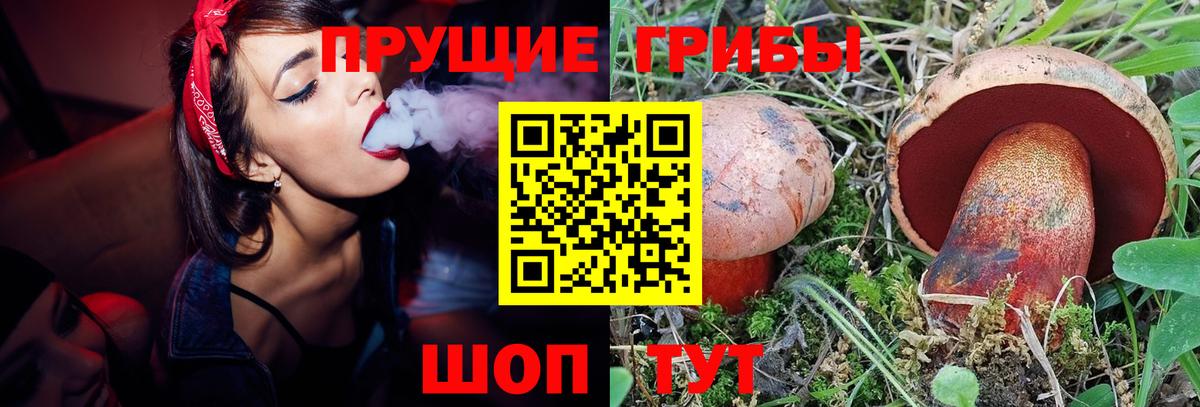 Великие Луки  Галлюциногенные грибы прущие грибы  Вход с VPN 